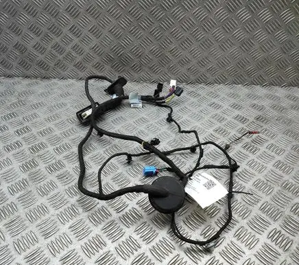 Audi A5 Front door wiring loom 8W6971029CF