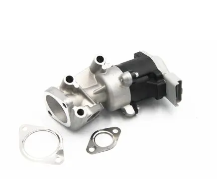 Citroen C6 EGR valve 1618N6