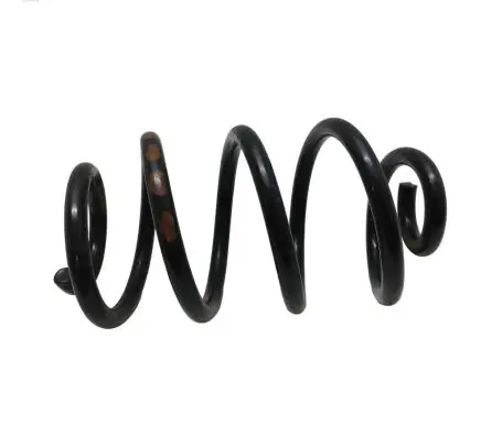Nissan Leaf I (ZE0) Rear coil spring