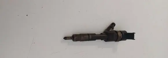 Renault Espace - Grand espace IV Fuel injector 8200100272