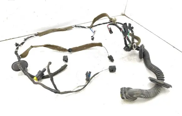 Renault Laguna III Front door wiring loom 241250118R
