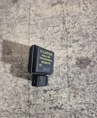 Citroen Xsara Picasso Coolant level sensor 9609955680