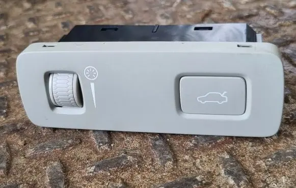 Volvo XC60 Tailgate opening switch 31481439
