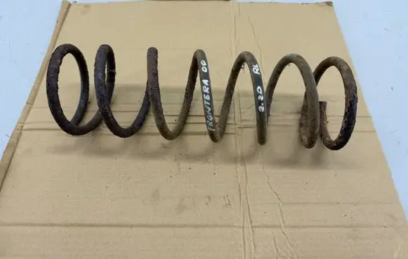Rear coil spring