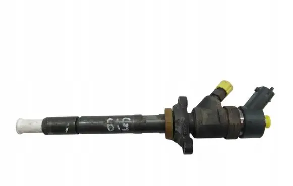 Peugeot 307 Fuel injector 0445110239