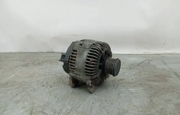 Volkswagen PASSAT B6 Generator/alternator 021903026L 2542783C