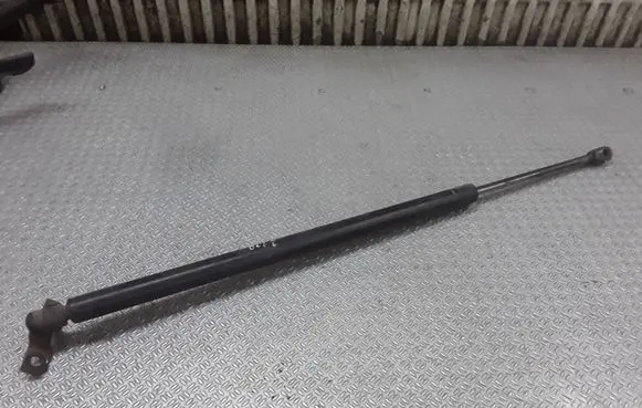 Chrysler Pacifica Tailgate/trunk strut/damper
