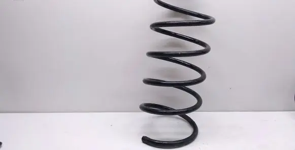 Front coil spring