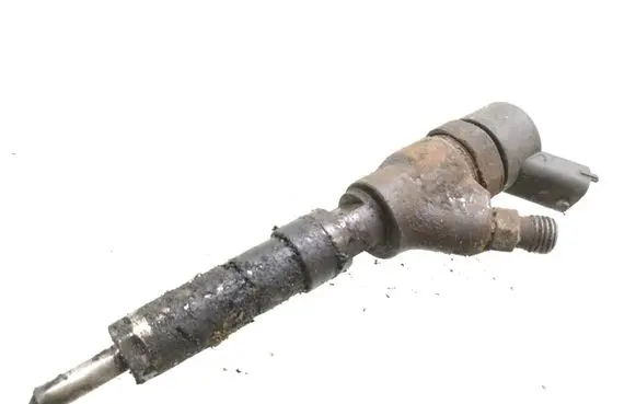 Citroen Jumper Fuel injector 0445110076 9641742880