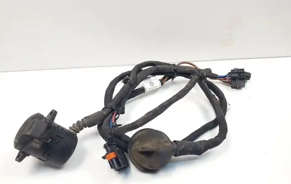 Volkswagen PASSAT B7 Other wiring loom 3AA971124A