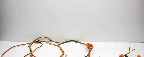 Cupra Born Plug wire 1EA971398AB