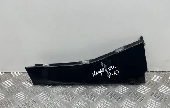 Rear door trim (molding)