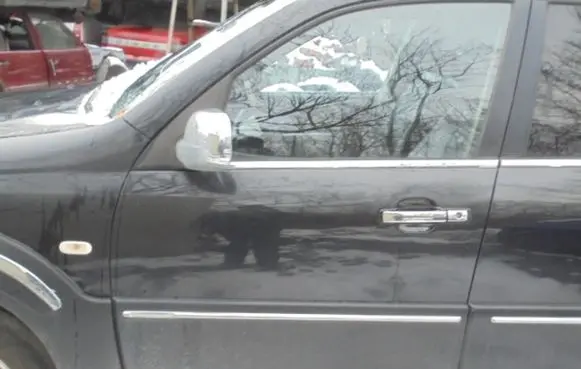 SsangYong Rexton Front door trim (molding)