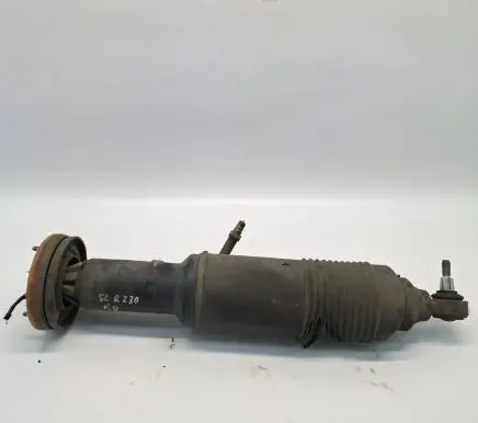 Mercedes-Benz SL R230 Front shock absorber/damper A2303202813