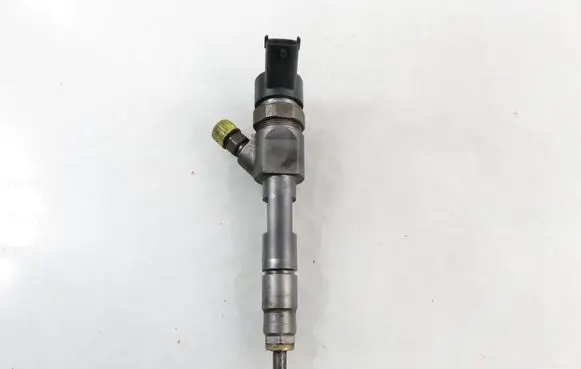 Suzuki Grand Vitara II Fuel injector 8200389369 0445110230