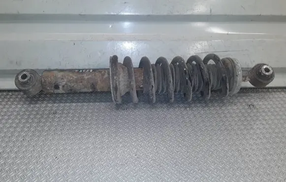 Peugeot 407 Rear shock absorber with coil spring 