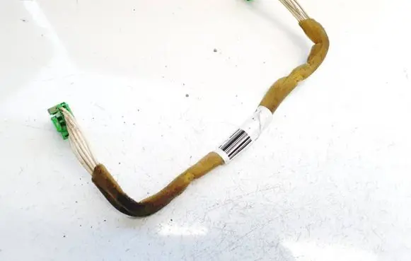 Other wiring loom