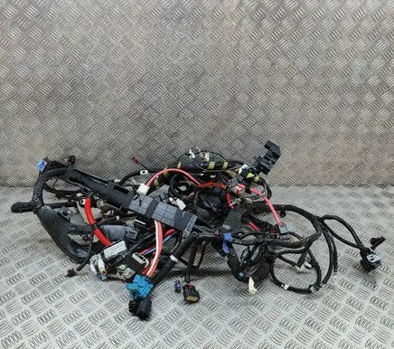 Tesla Model 3 Other wiring loom 306796408D
