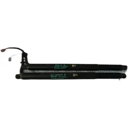 Tailgate strut