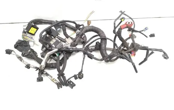 Nissan Qashqai+2 Engine installation wiring loom 24011BB04A
