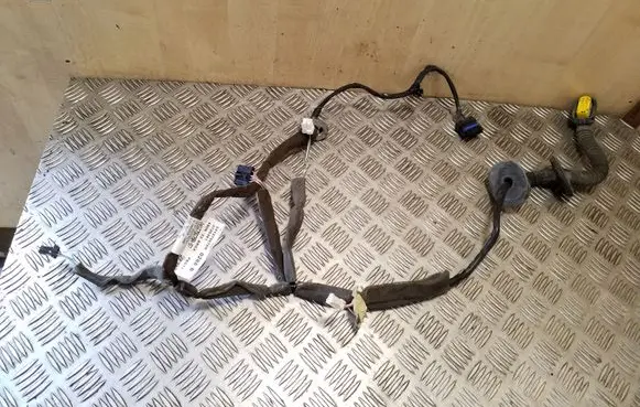 Renault Scenic III - Grand scenic III Rear door wiring loom 241275076R