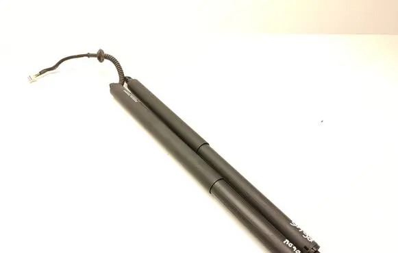 Tailgate strut