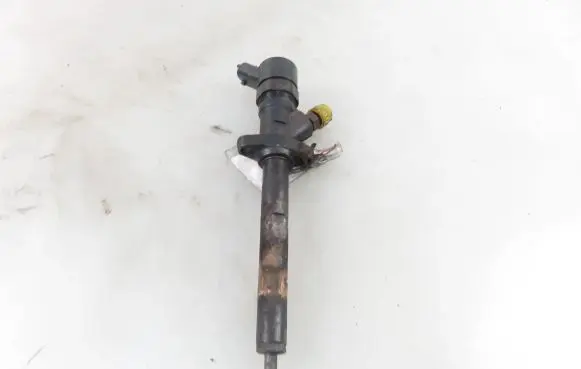 Citroen C8 Fuel injector 9637277980 0445110036