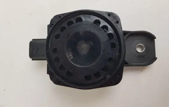 Renault Scenic III - Grand scenic III Alarm system siren 256400001R