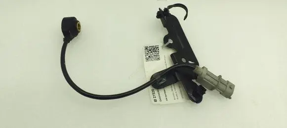 KIA Sportage Detonation knock sensor 392502B000 0261231228