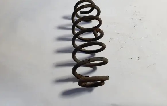 Rear coil spring
