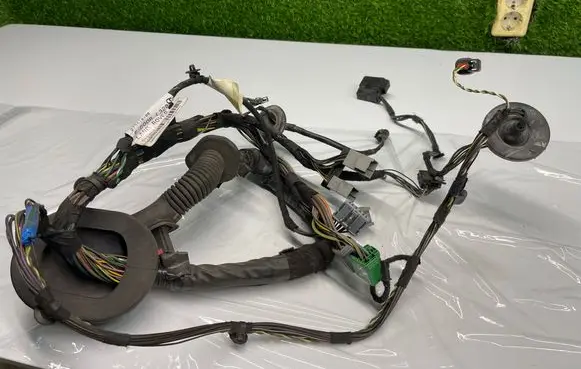 Land Rover Range Rover Sport L320 Front door wiring loom 273410100