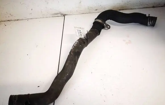 Renault Laguna III Engine coolant pipe/hose