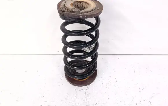 Buick Encore I Rear coil spring 95174968