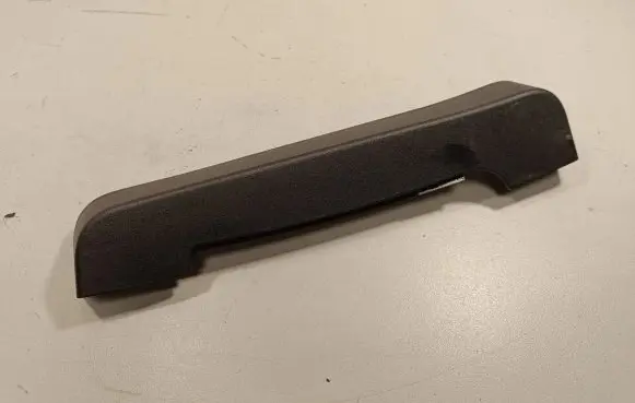 Rear/tail light trim molding