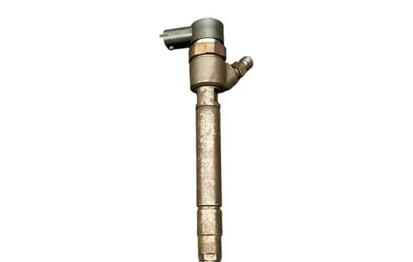 Volvo S80 Fuel injector 30750283 0445110251