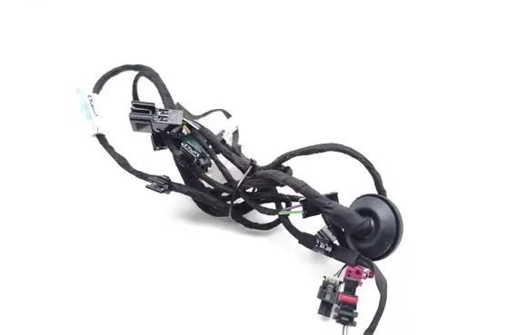 Front door wiring loom