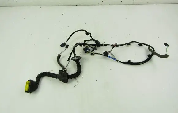 Renault Laguna III Front door wiring loom 
