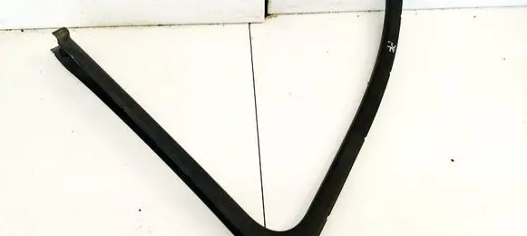 Renault Scenic II - Grand scenic II Front door glass trim molding 82002392
