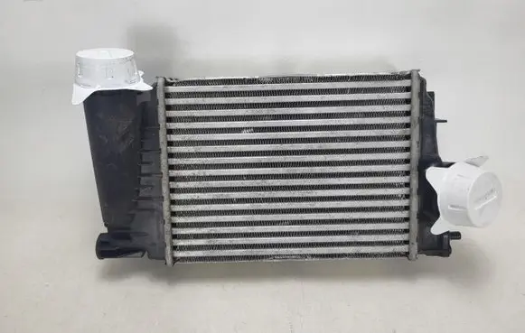 Nissan Qashqai Intercooler radiator 144962803R