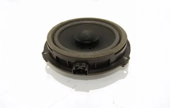 Rear door speaker