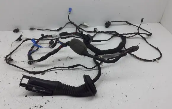 BMW 5 G30 G31 Front door wiring loom 2932072 11107810