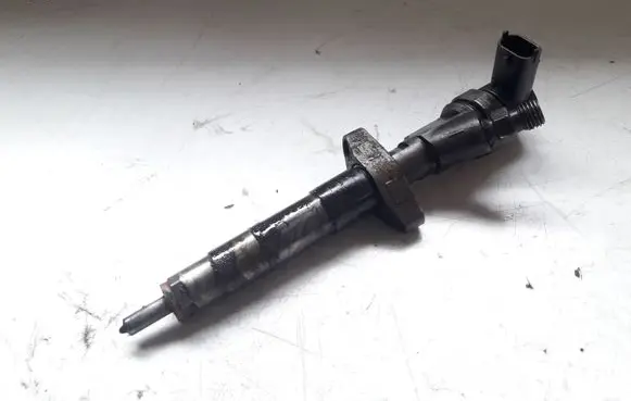 Renault Espace - Grand espace IV Fuel injector 0445110084