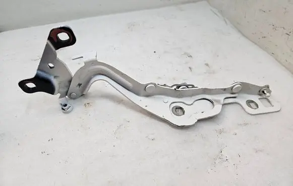 Ford Mach-E I Engine bonnet/hood hinges LJ8BR16C964AE