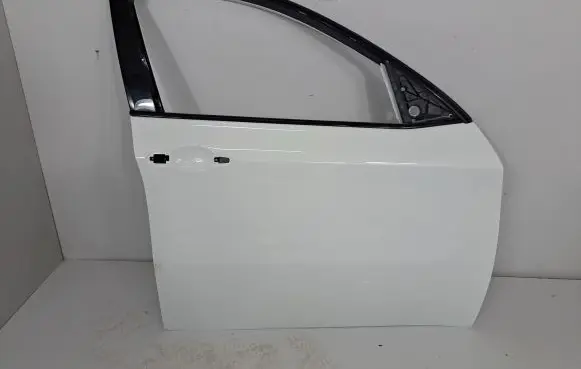 BMW X6 E71 Front door 7198160