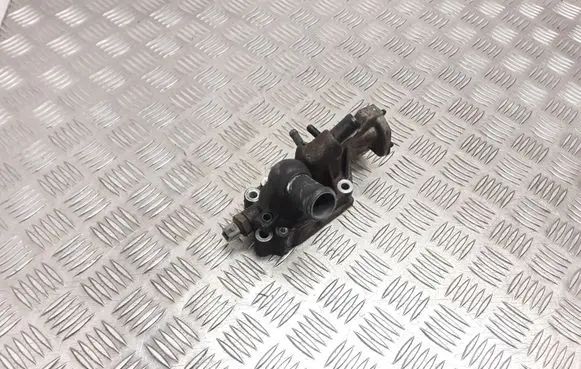 Thermostat/thermostat housing