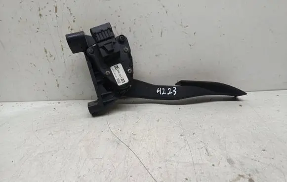 Opel Astra H Accelerator throttle pedal 9157998 6PV00811200