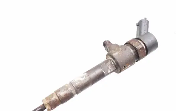 Fiat Punto (188) Fuel injector 0445110019
