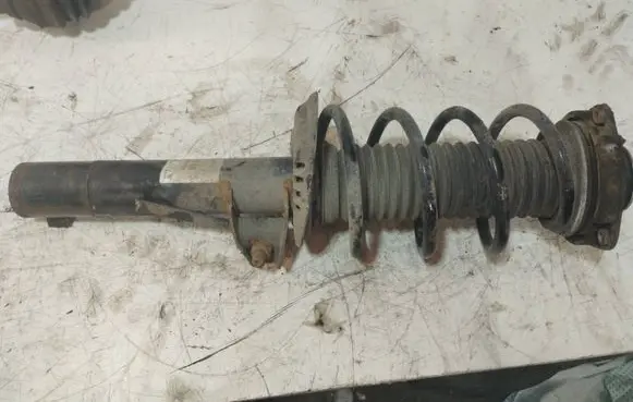 Volkswagen Golf V Front shock absorber/damper 317575 0120064 824904013020