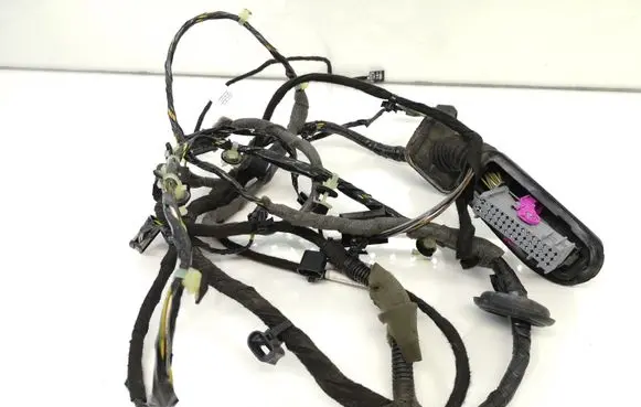 Front door wiring loom