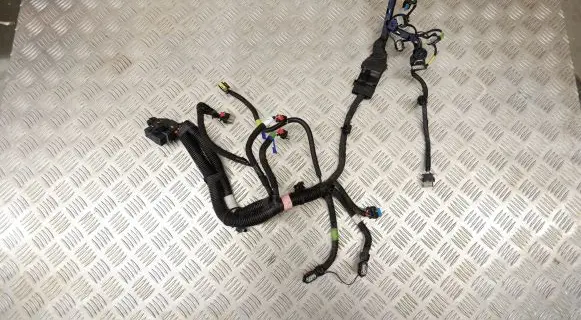 Tesla Model 3 Other wiring loom 206876700C